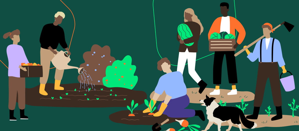 We see a diverse group of illustrated people all pitching in to help around the garden. One person is watering crops, another is planting carrots and the rest are carrying fruit and vegetables or gardening equipment. 