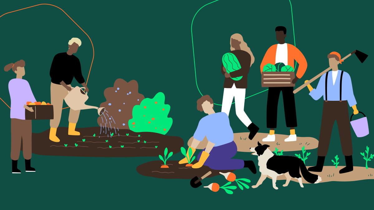 We see a diverse group of illustrated people all pitching in to help around the garden. One person is watering crops, another is planting carrots and the rest are carrying fruit and vegetables or gardening equipment. 