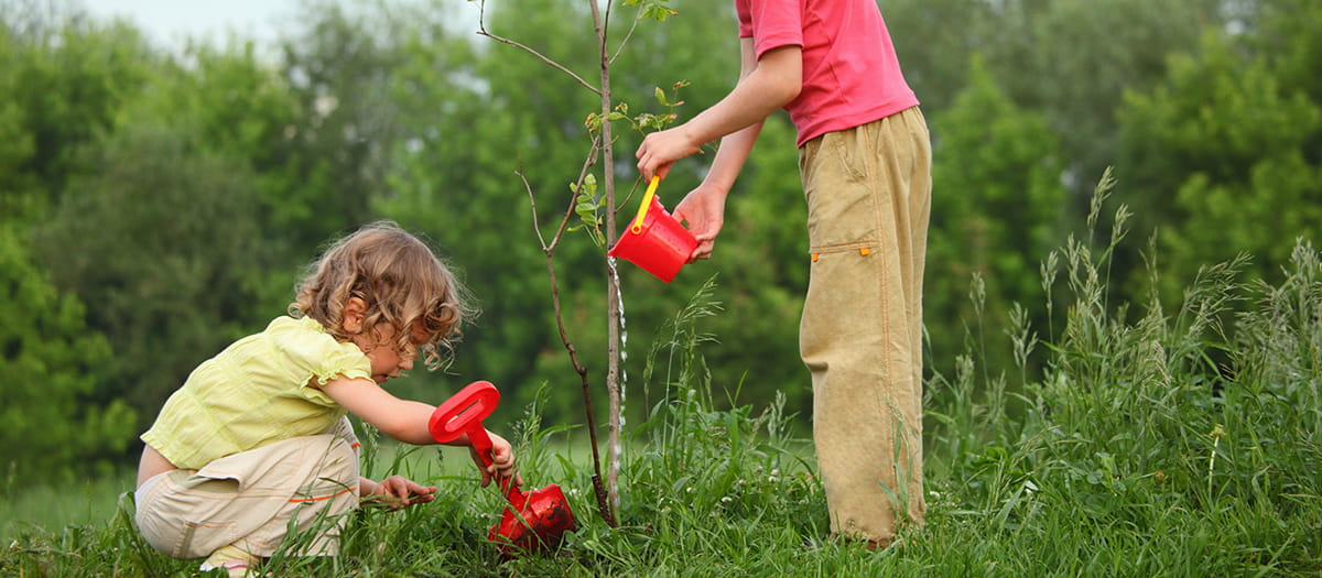 Children watering a garden