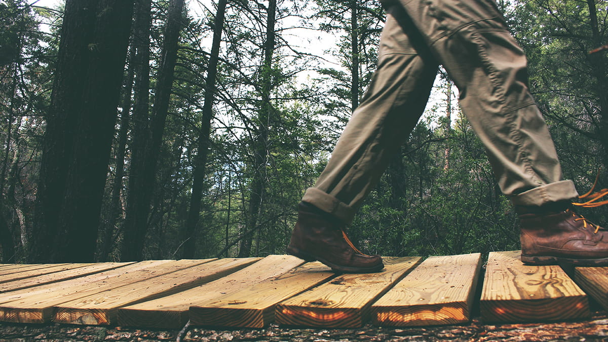 Person walking through a forest