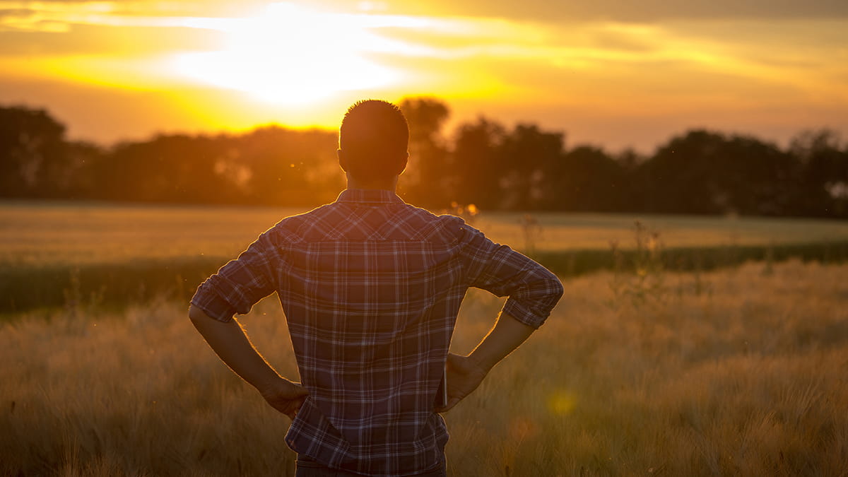 Young man looks out to sunset in a field