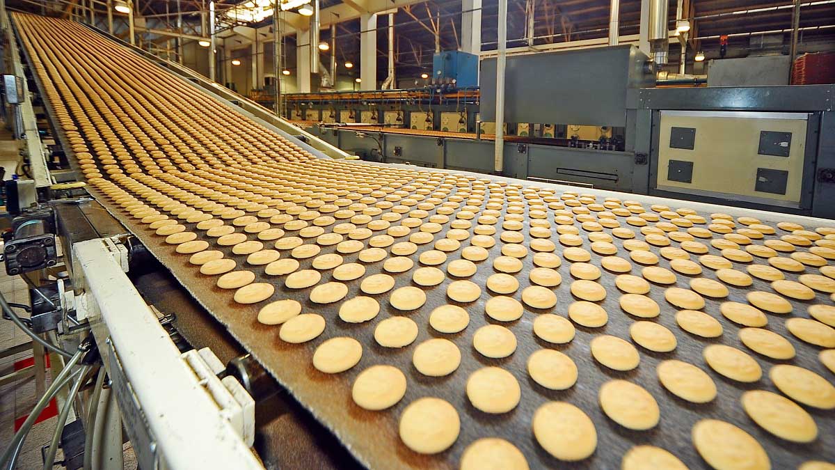 Photo of biscuits on conveyor belt