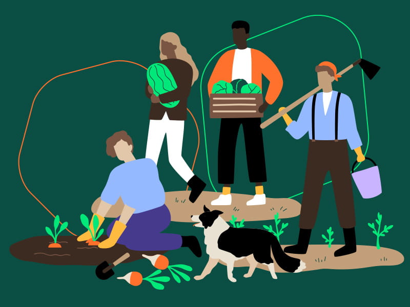 Illustration of people in the garden planting carrots and carrying watermelons. A dog is running around with them. 