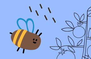 Illustration of a bee flying towards an outline drawing of a tomato plant.