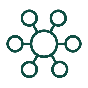 An icon showing a network - a large circle with smaller circles connected to it