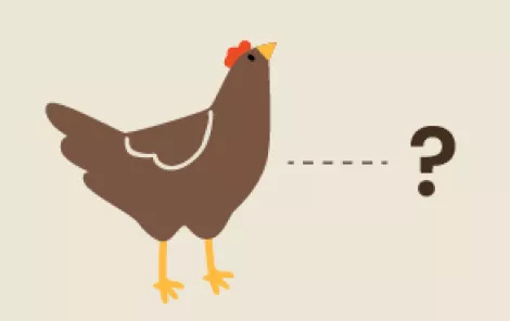 Illustration of a chicken with a dotted line connecting it to a question mark.