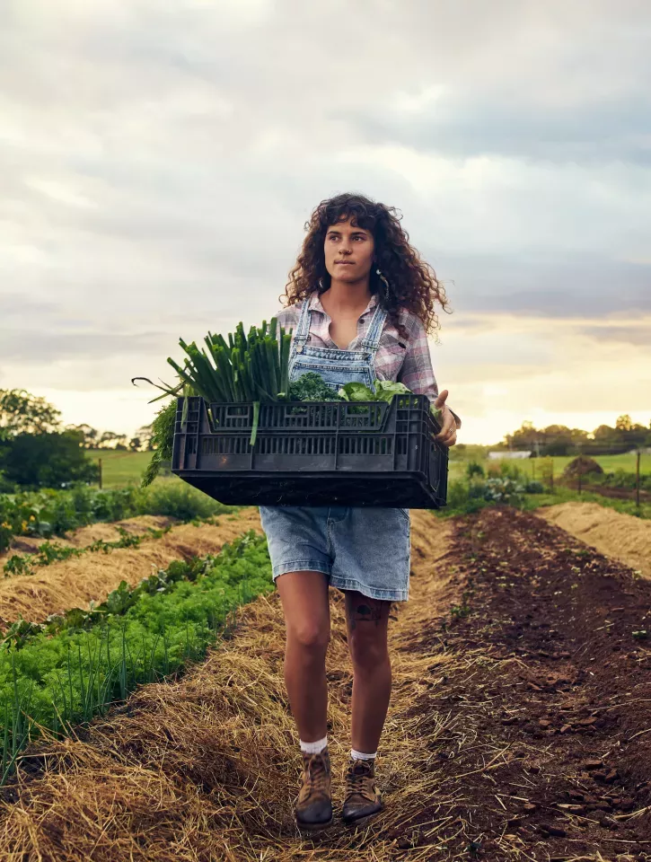 Girl carrying a box of vegetables at a farm.
