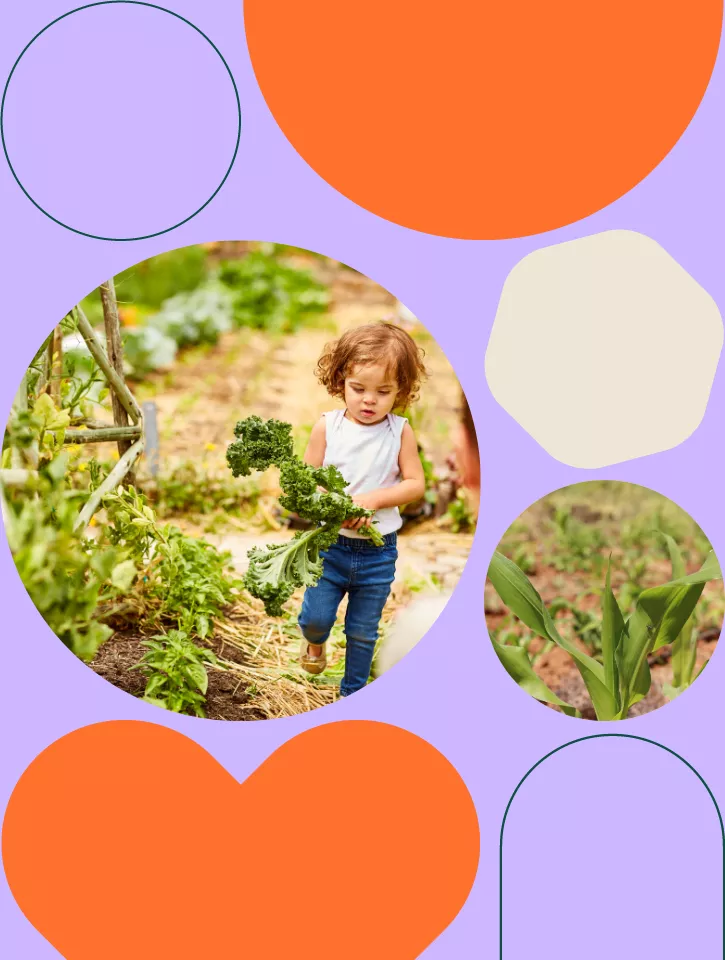 A circle with a photo of a kid carrying kale in a farm. Orange circles and other shapes sit around this in frame. 