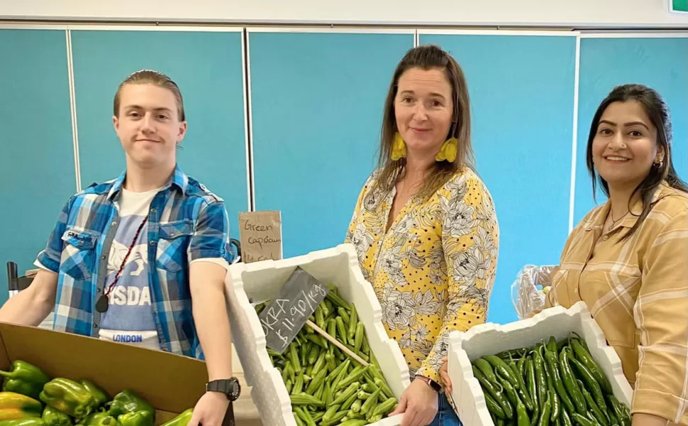 Three people are holding a big box of produce, each of them are facing the box to camera. 